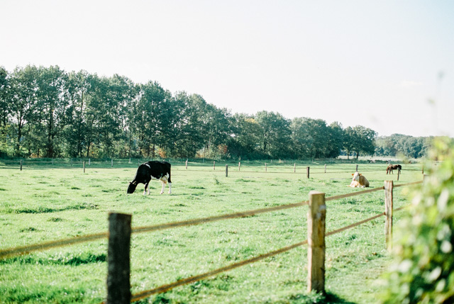 analoge fotografie