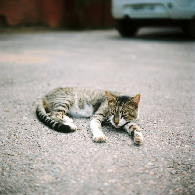 film photography marrakech morocco hanke arkenbout