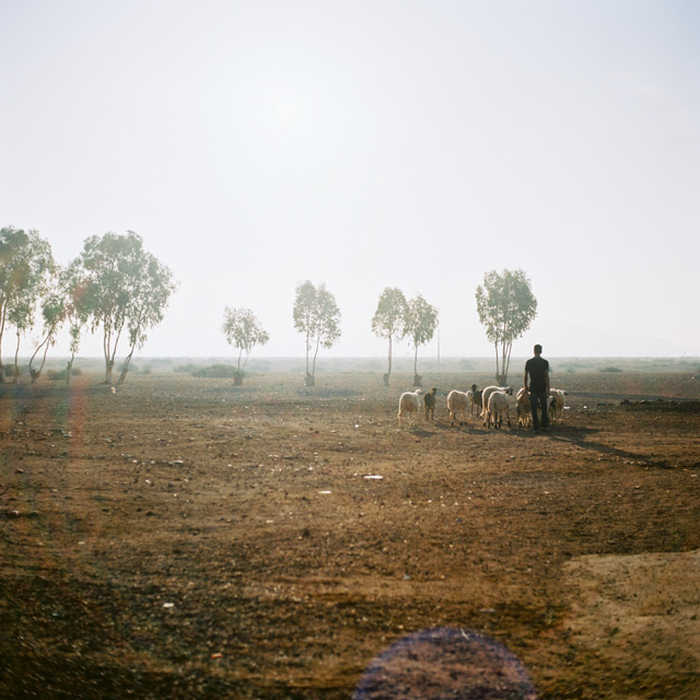 film photography marrakech morocco hanke arkenbout