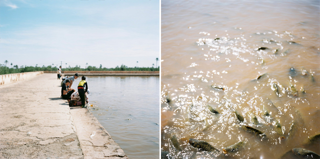 film photography marrakech morocco hanke arkenbout