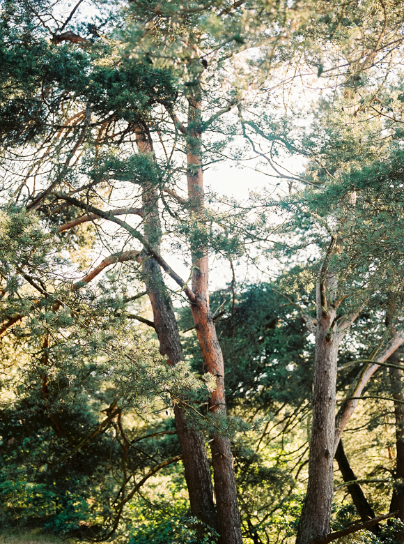 picnic gathering friends nature kinfolk